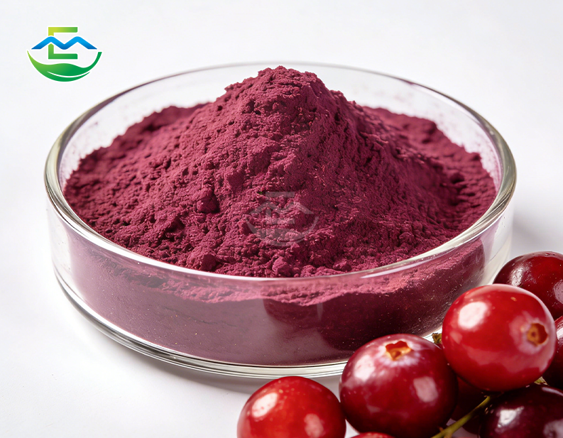 Cranberry Extract Proanothcynandins 20%